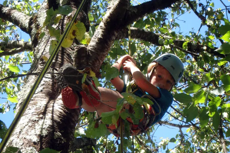 Activités nature en Ardèche et Lozère dans les Cévennes, grimpe d’arbres et aventure en pleine nature