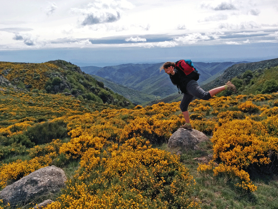 Randonnée en montagne en Ardèche dans les Cévennes avec panorama sur le Mont Lozère et les vallées environnantes